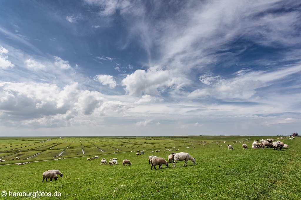 akustikbild_fond_AKB054 Fond Akustikbild Wiesen, Scharfe, Himmel