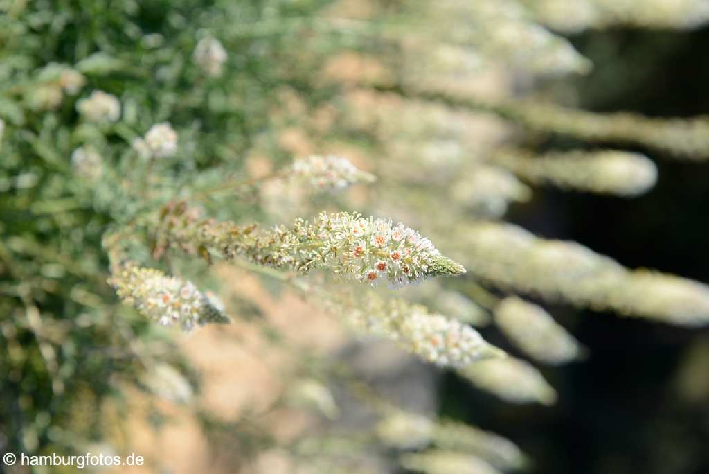 akustikbild_fond_AKB074 Fond Akustikbild Natur