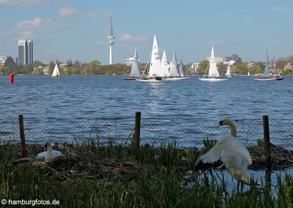 id519224 Hamburg rund um die Alster