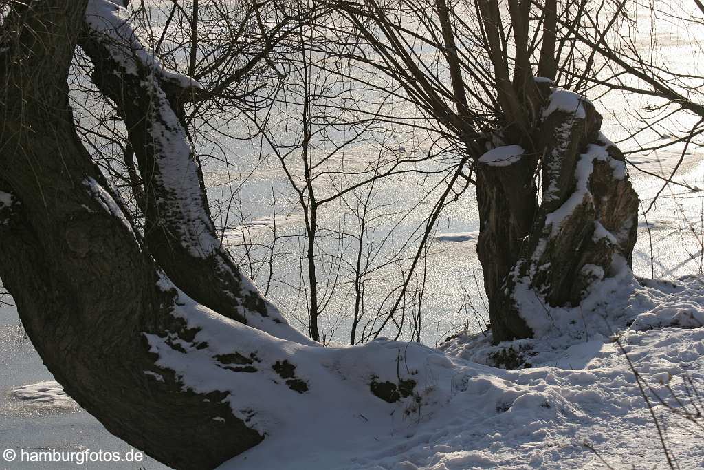 id105608 Hansestadt Hamburg | Fotografien zum Thema Winter und Weihnachten |