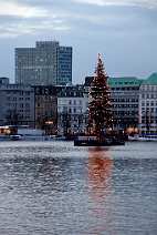 id105624 Hansestadt Hamburg | Fotografien zum Thema Winter und Weihnachten | Unilever, Weihnachtsbaum