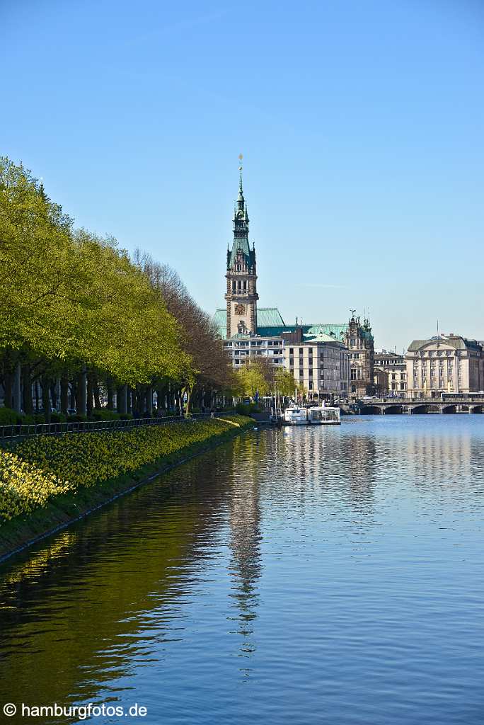 id521412 Hamburger Rathaus