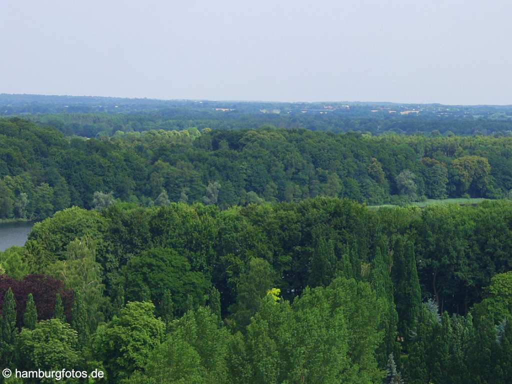 id100410 Schleswig-Holstein, Segeberger Forst, Wald, Waelder