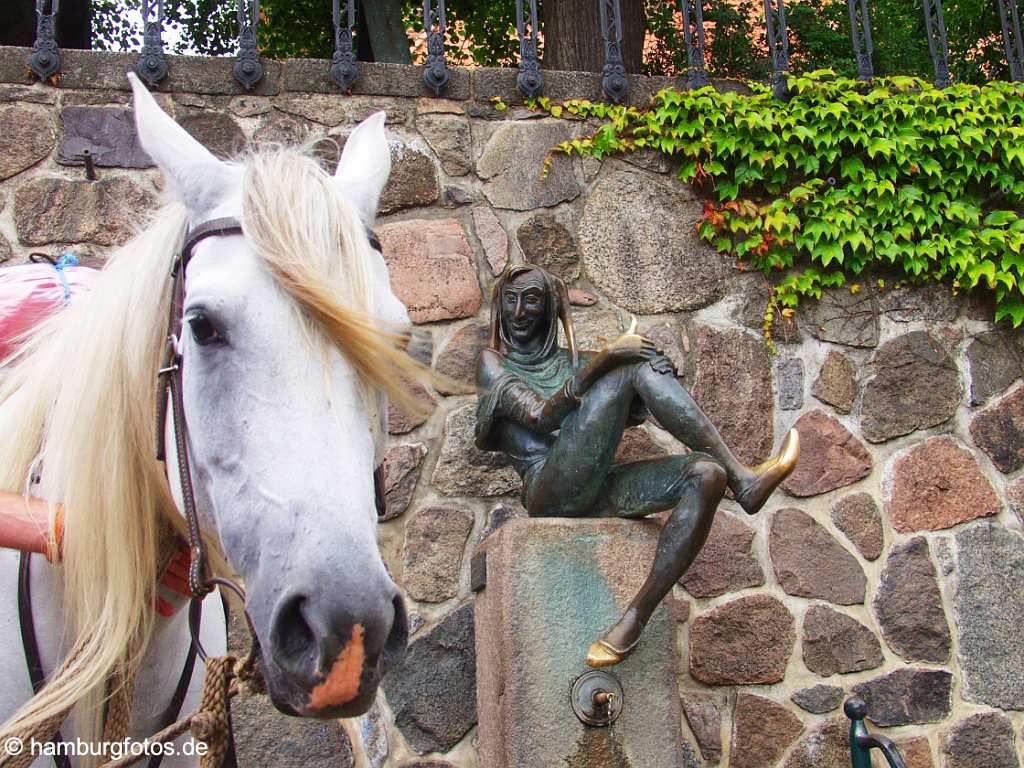 id100430 Schleswig-Holstein, Till Eulenspiegel in Moelln mit Pferd.