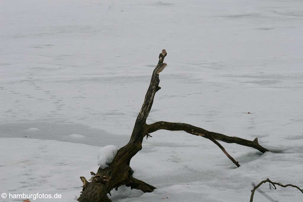 id105394 Hansestadt Hamburg | Fotografien zum Thema Winter und Weihnachten |