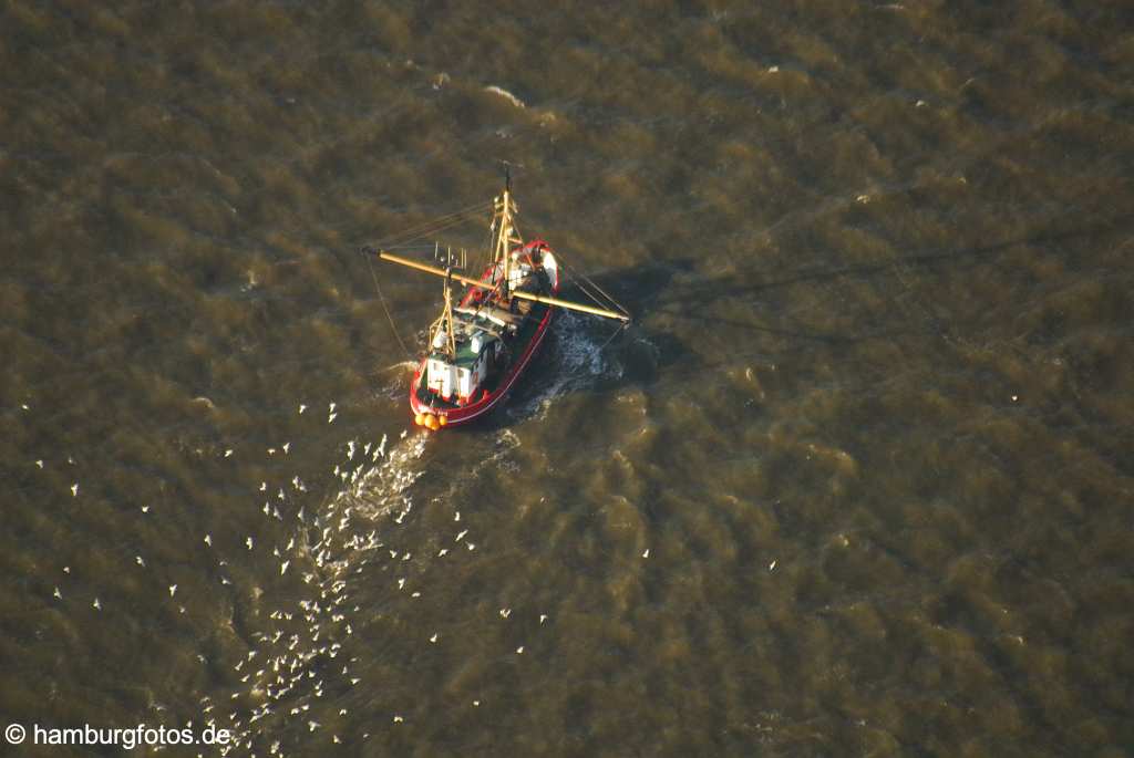 id109133 Fischerboot, Möven