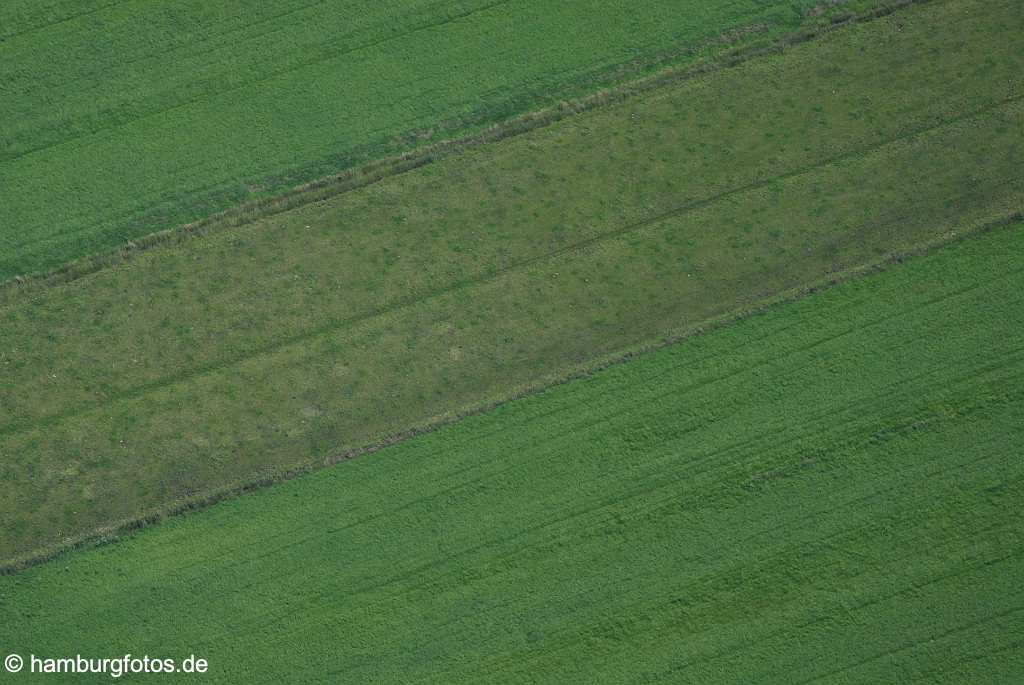 id111916 Felder, grün aerial photography, aerial pictures, air photos, bird's eye view, Deutschland, Germany, Hambourg, Hamburg, Hamburger, Hamburgo, Luftaufnahmen, Luftbildaufnahmen, Luftbilder, Norddeutschland, senkrecht, Senkrechtaufnahmen, Vogelperspektive