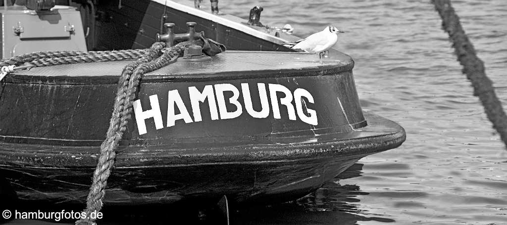 skyline_hamburg_P045 Heck einer Barkasse mit Schriftzug "HAMBURG" am Heck. Eine Möve sitzt auf der Reling scharzweiß