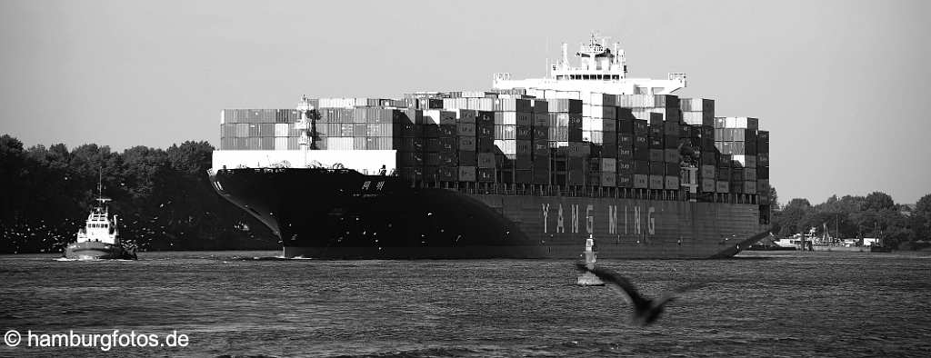 skyline_hamburg_P048 Containerschiff mit Schlepper vor Finkenwerder