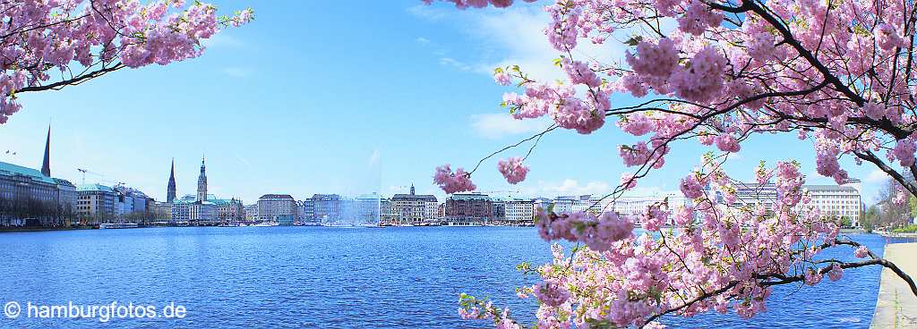 skyline_hamburg_P085 Panoramabild Hamburg - Innenstadt, Binnenalster, Fruehling