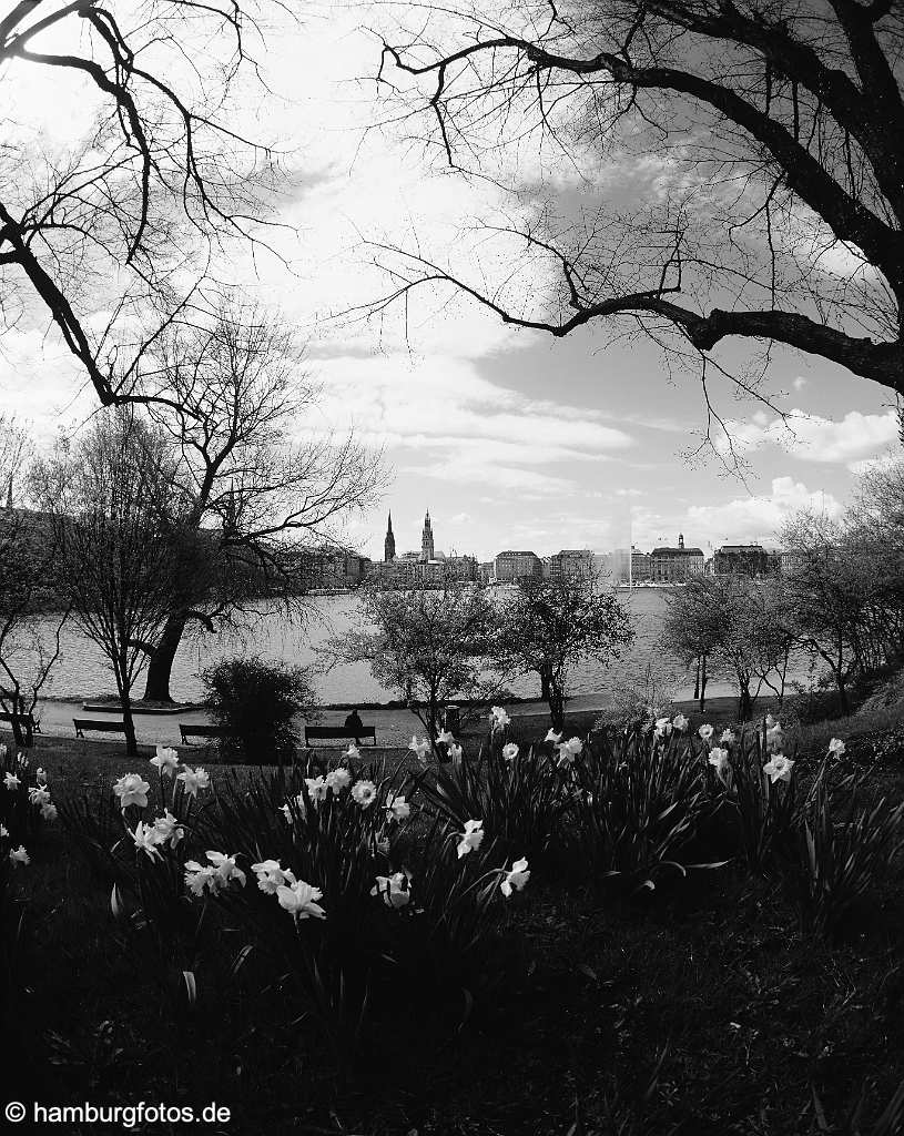 hamburg_schwarzweiss_177 Die neu gestaltete Innenstadt-Skyline von Hamburg 2006 | erste Eindruecke, Jungfernstieg - Alsteranleger - Binnenalster | Hamburger Rathaus, Ballindam, Jungfernstieg, Fruehling, Nazisen