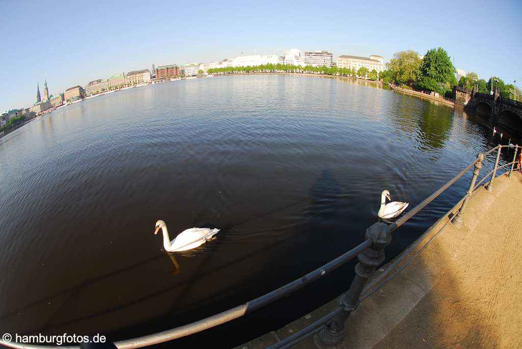 id111534 Hansestadt Hamburg | Skyline Jungfernstieg, Binnenalster mit Schwaenen