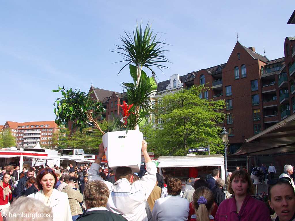 fis035 St. Pauli Fischmarkt