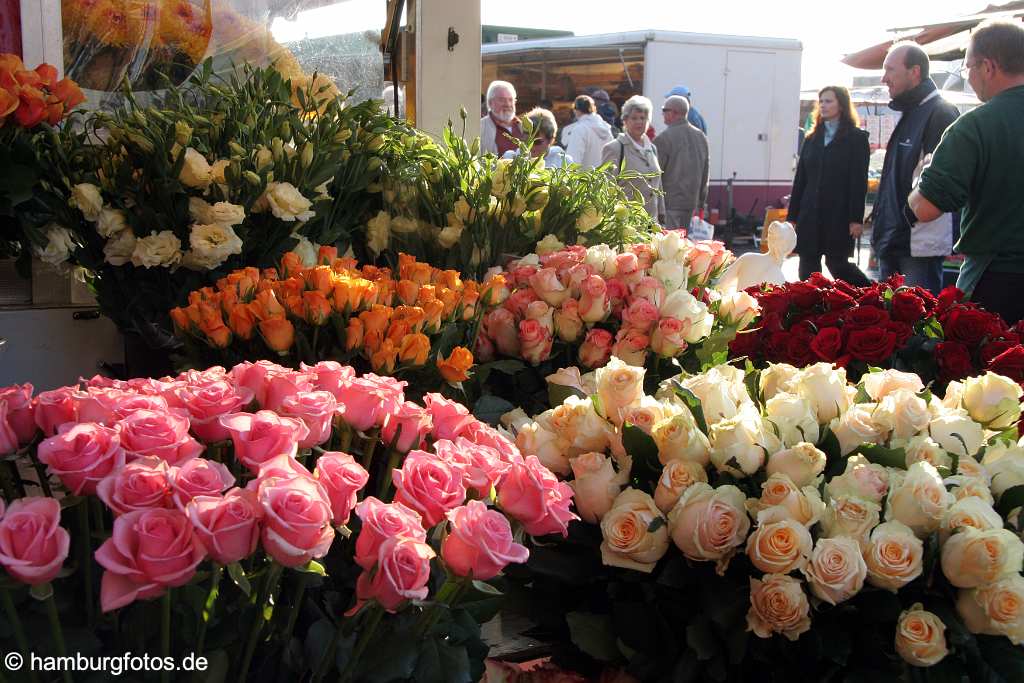 id113078 Hamburger Fischmarkt, frische Rosen