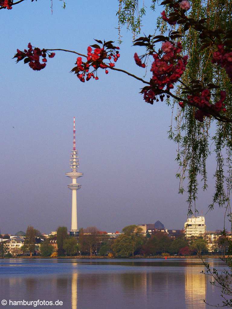 skyline027 Skyline von Hamburg: Aussenalster mit Telemichel, Fruehling, Blueten.