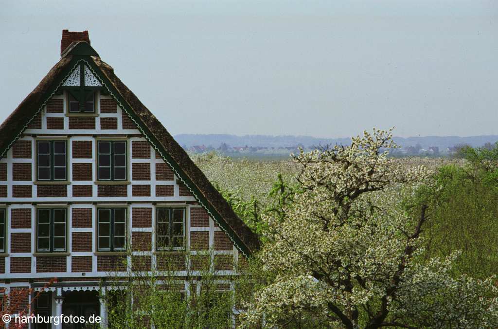 id10263 Altes Land - Fachwerkhaus, Apfelblüte